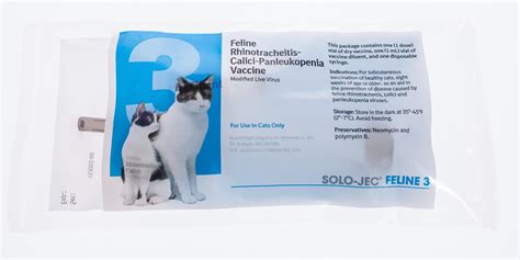 solo jec feline 3